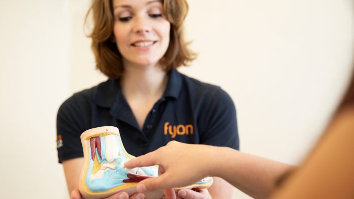 Geesteren-Fyon